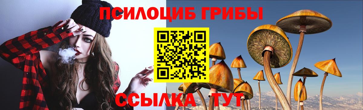 Псилоцибиновые грибы MAGIC MUSHROOMS Сертолово