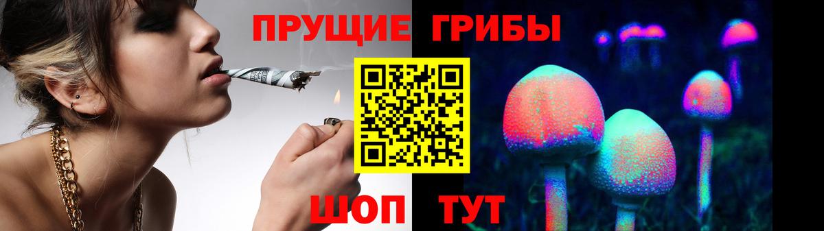 Сертолово  цены наркотик  Вход с VPN  Галлюциногенные грибы прущие грибы  Псилоцибиновые грибы Psilocybine cubensis 